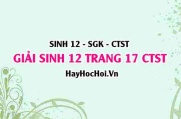 Giải Sinh 12 trang 17 Chân trời sáng tạo SGK